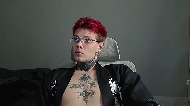 DENIS_HERE Show in webcam