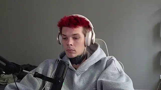 DENIS_HERE Show in webcam