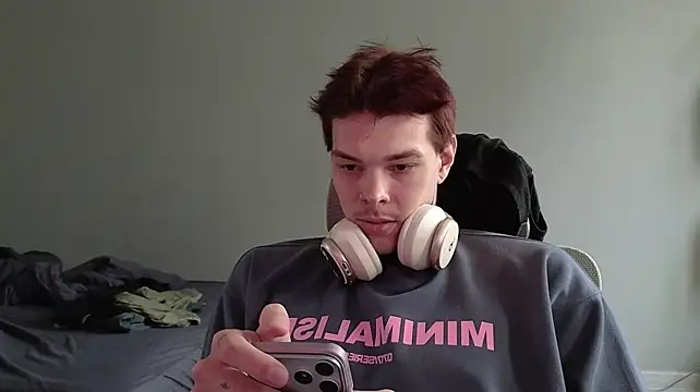 DENIS_HEREn Webbikameraesitys
