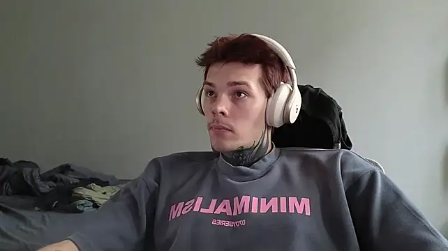 DENIS_HEREn Webbikameraesitys