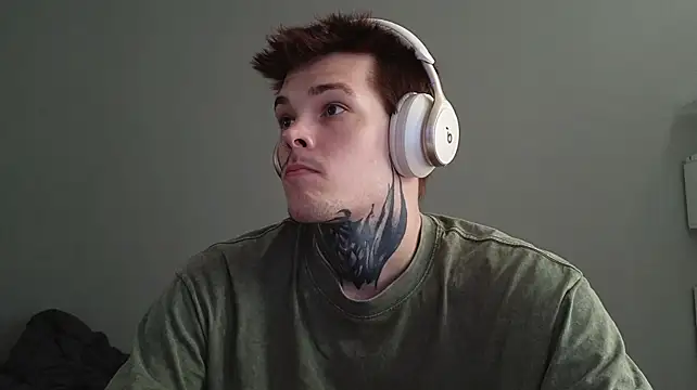 DENIS_HERE Show Webcam