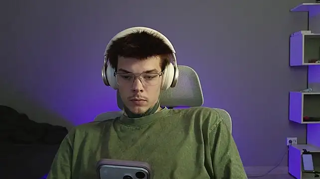 DENIS_HEREn Webbikameraesitys