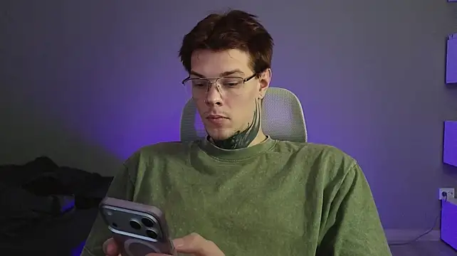 DENIS_HEREn Webbikameraesitys