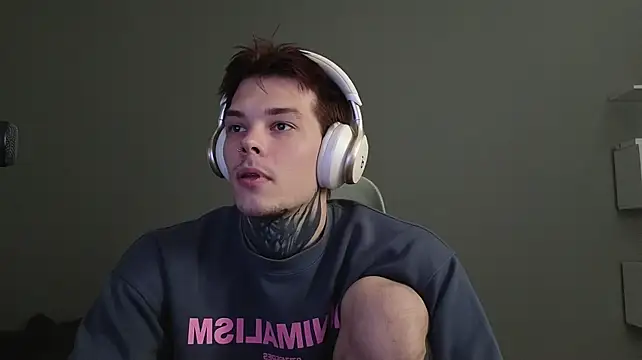 Show webcam de DENIS_HERE