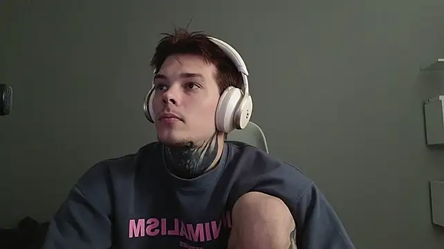 DENIS_HEREn Webbikameraesitys