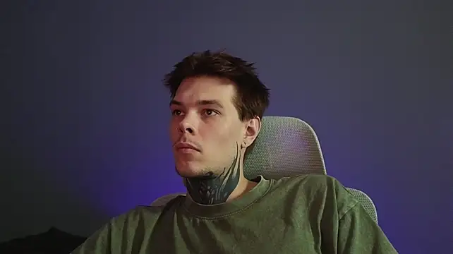 DENIS_HEREn Webbikameraesitys