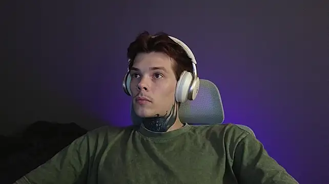 DENIS_HEREn Webbikameraesitys