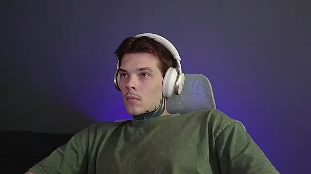 DENIS_HEREn Webbikameraesitys