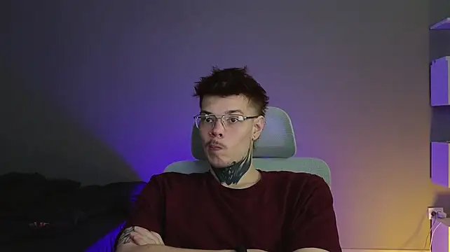 DENIS_HEREn Webbikameraesitys