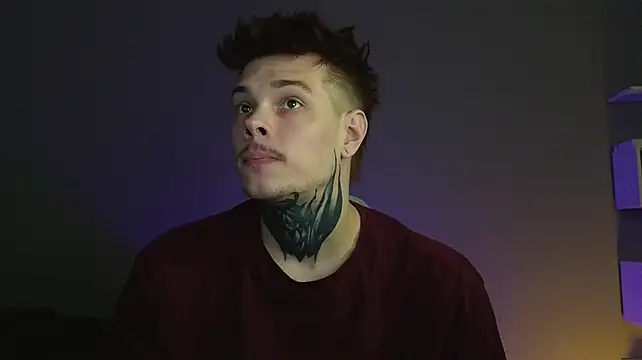 DENIS_HEREn Webbikameraesitys