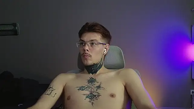 DENIS_HEREn Webbikameraesitys