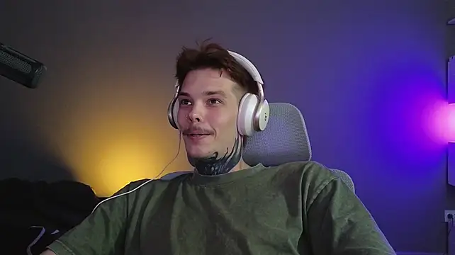 DENIS_HEREn Webbikameraesitys