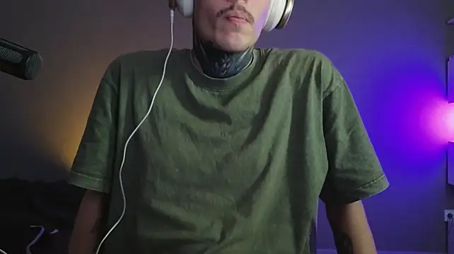 DENIS_HEREn Webbikameraesitys