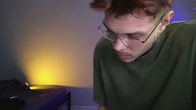 DENIS_HEREn Webbikameraesitys