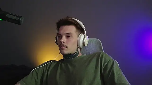 DENIS_HEREn Webbikameraesitys