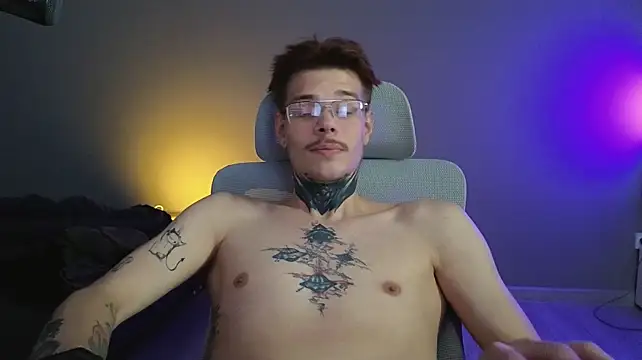 DENIS_HEREn Webbikameraesitys