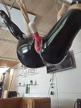 Exhibitionsplit Webcam Show