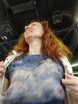 Exhibitionsplit Webcam-Show