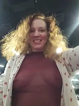 Exhibitionsplit – webcam-show