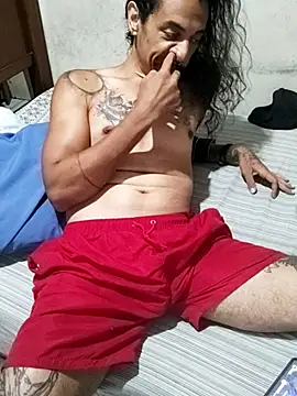iirgastam3 – Live XXX-chat