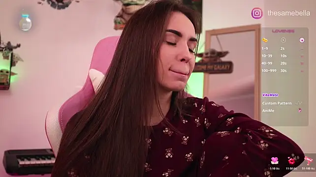 Show modela -BabyYoda na web-kameri