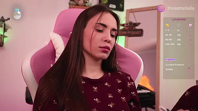 Show modela -BabyYoda na web-kameri