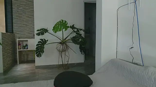 grey___27 Webcam show
