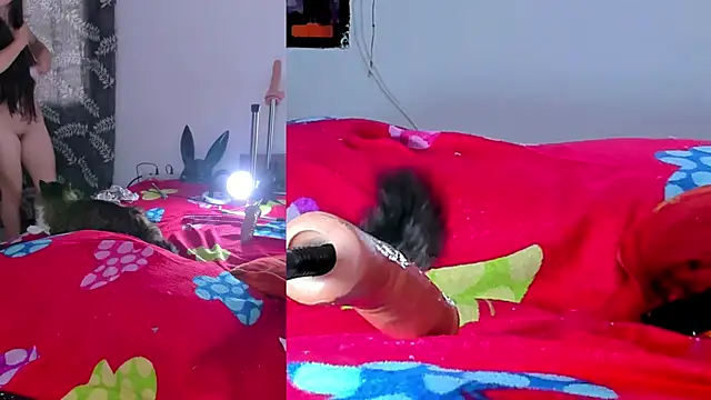 lacii_lostn Live XXX chat