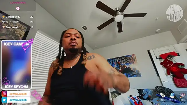 4EVAGLACIERSn Webbikameraesitys