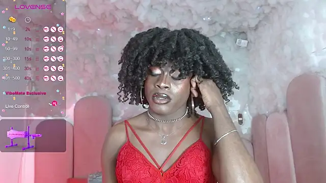 הופעת וובקאם של puca_ebony