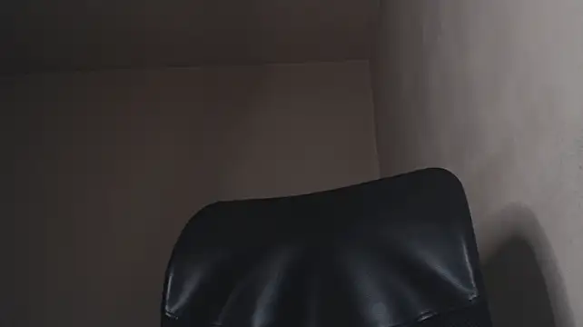 Show webcam de henryaxe
