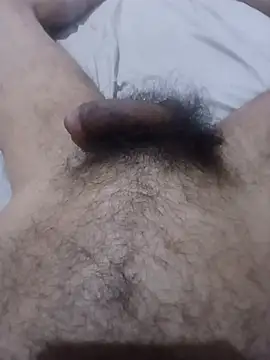 عرض كام Alamleo36