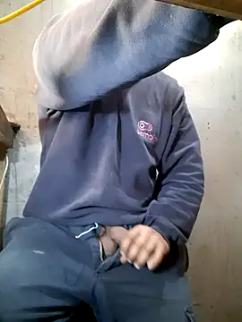 hecwil8 – webcam-show
