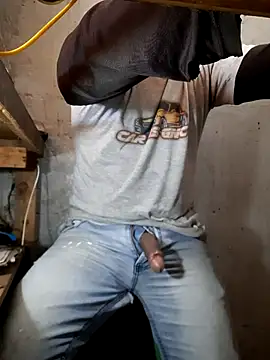 hecwil8 – webcam-show