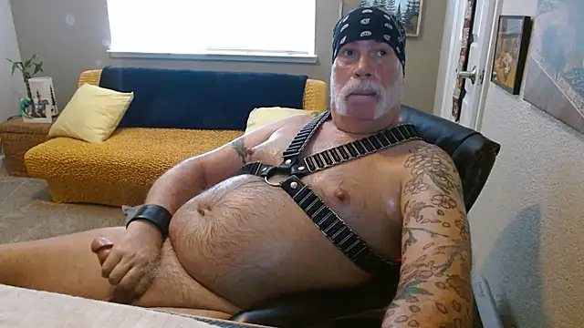 عرض كام musclebearnips