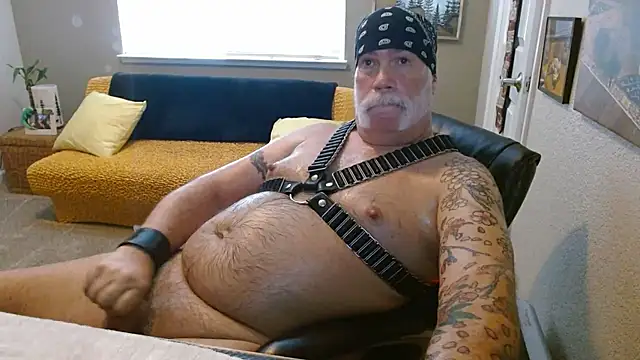 הופעת וובקאם של musclebearnips