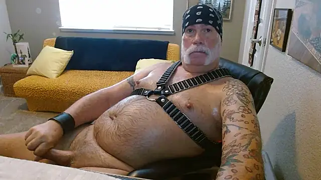 Show de webcam de musclebearnips