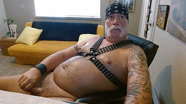 عرض كام musclebearnips
