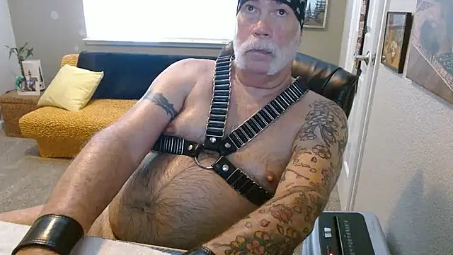 musclebearnips Webcamshow