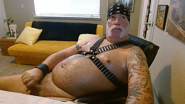 הופעת וובקאם של musclebearnips