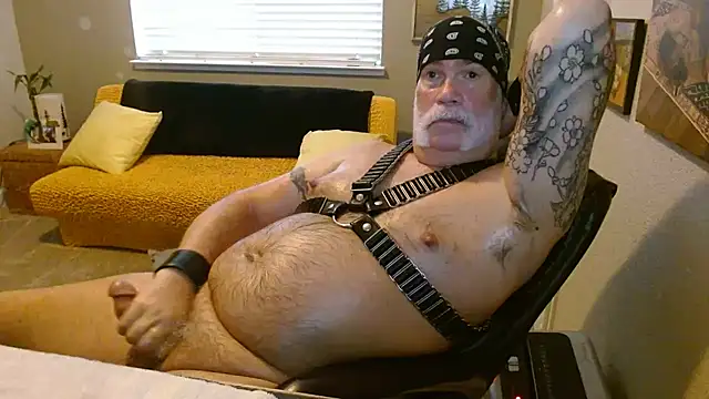 musclebearnips 在線直播表演
