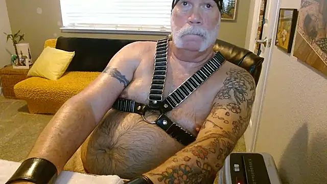 Pokazy przed kamerką – musclebearnips