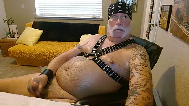 Show de webcam de musclebearnips