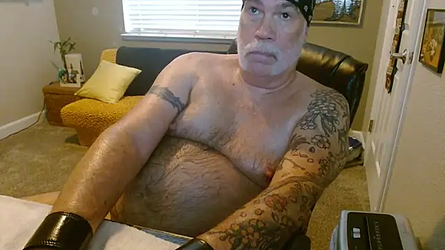musclebearnipsn Webbikameraesitys