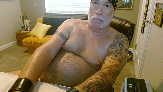 عرض كام musclebearnips
