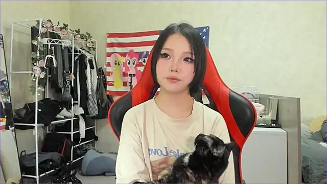 Show Webcam de wastforu