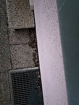 โชว์เว็บแคมของ Lorent6969