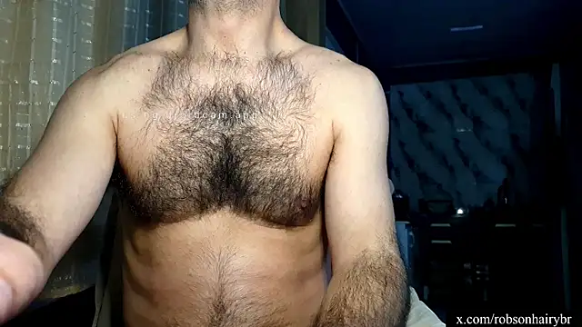 Show de webcam de robsonbr