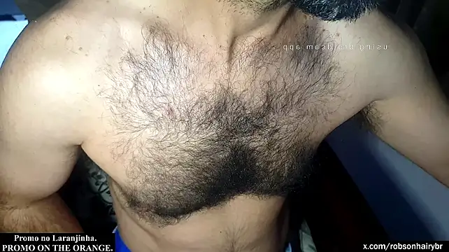 Show de webcam de robsonbr