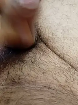 Show webcam de arnaudpo